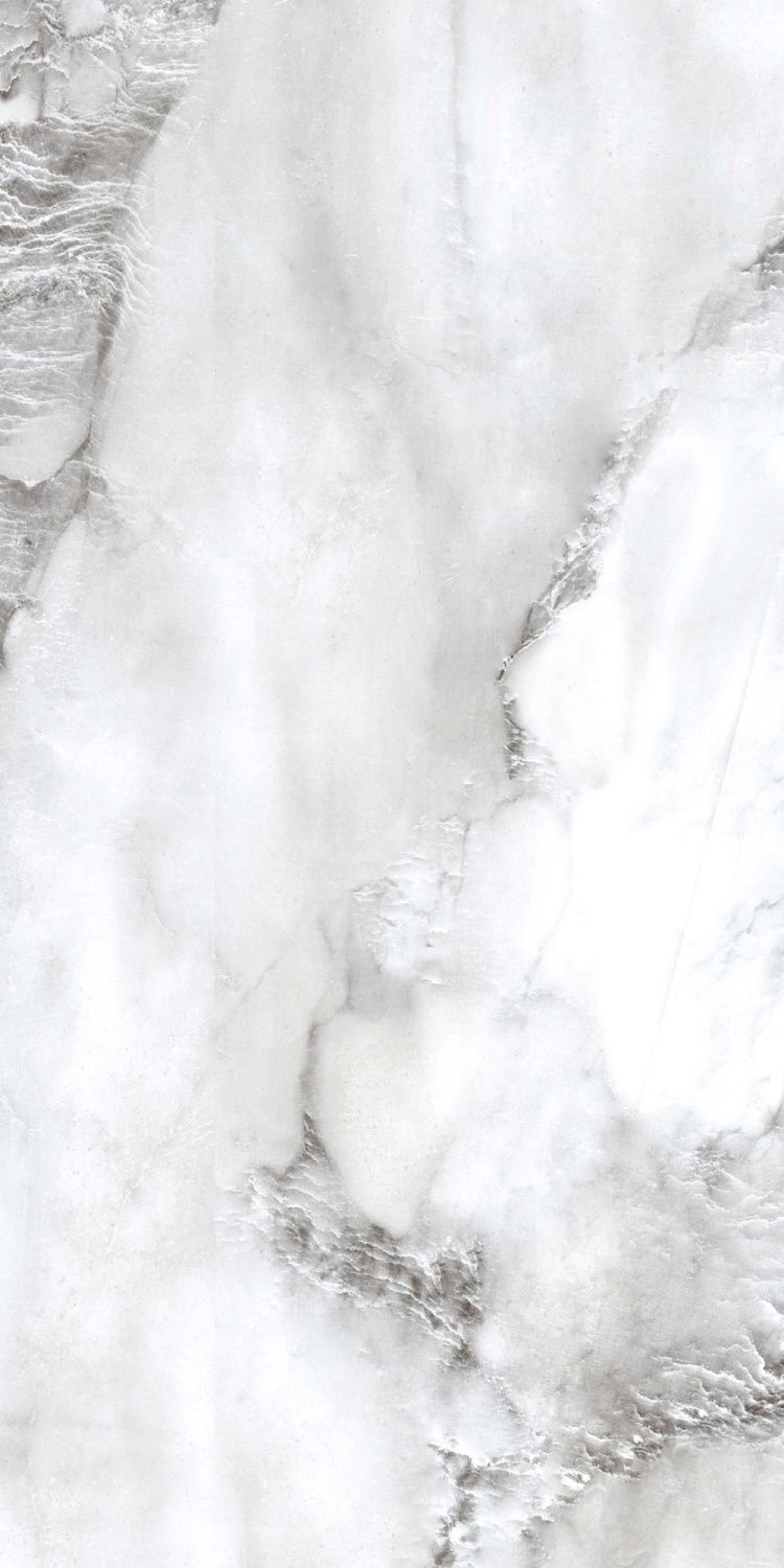 PR221 Керамогранит Acacia 60*120см polished 1,44м2