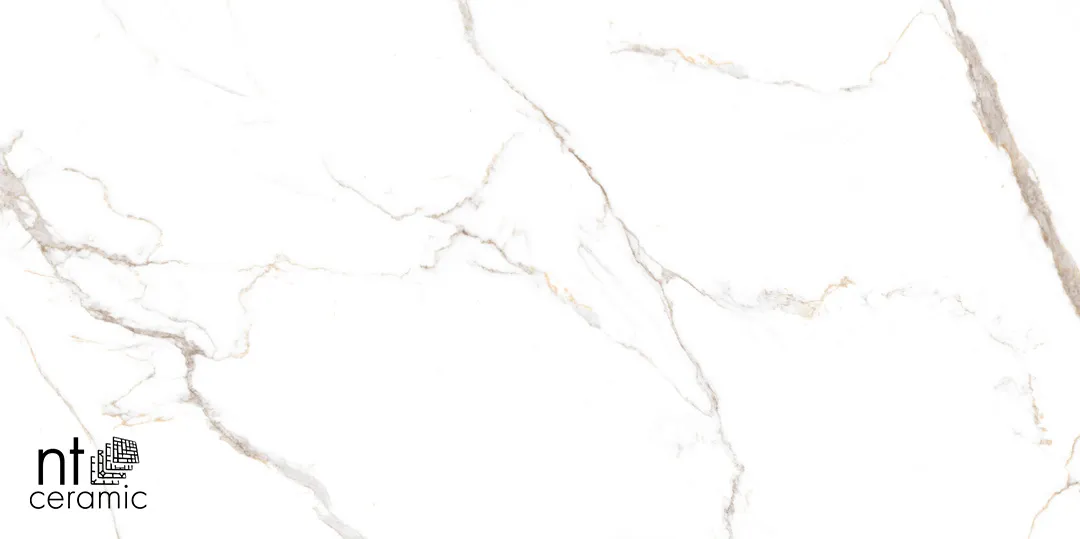 Керамогранит NTT9122M Barbara White Mat 60x120