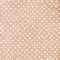 Гранит керамический PANGEA CLAY SPOT LT 22,3х22,3 см