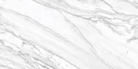 Керамогранит Statuary Venato D12065M 60х120 Delacora Statuary Venato (Delacora)