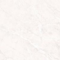 Керамогранит Primavera Пантир 60x60 см (TP66M17)