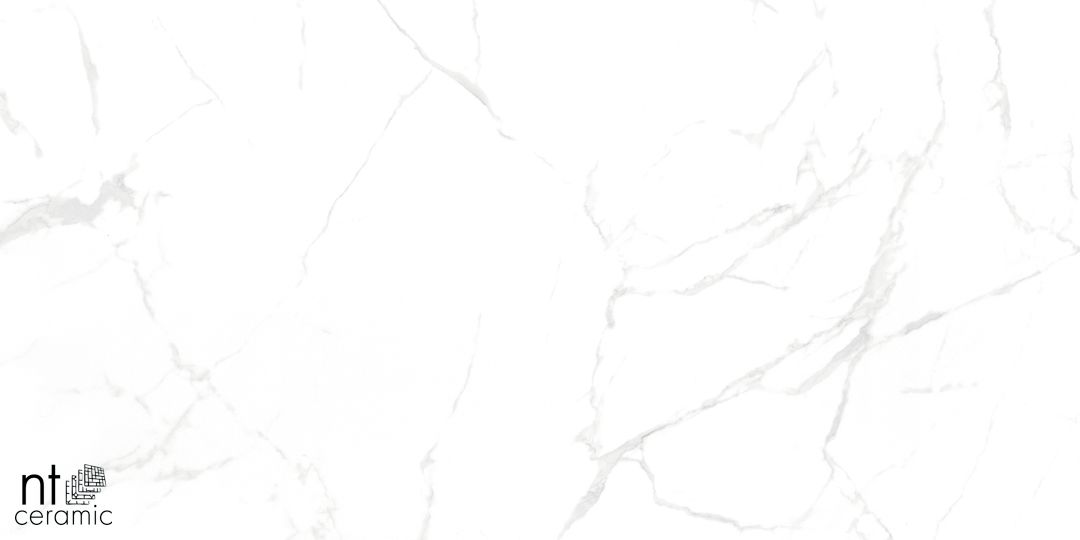 Керамогранит NTT996070M Callacata Carving 60x60