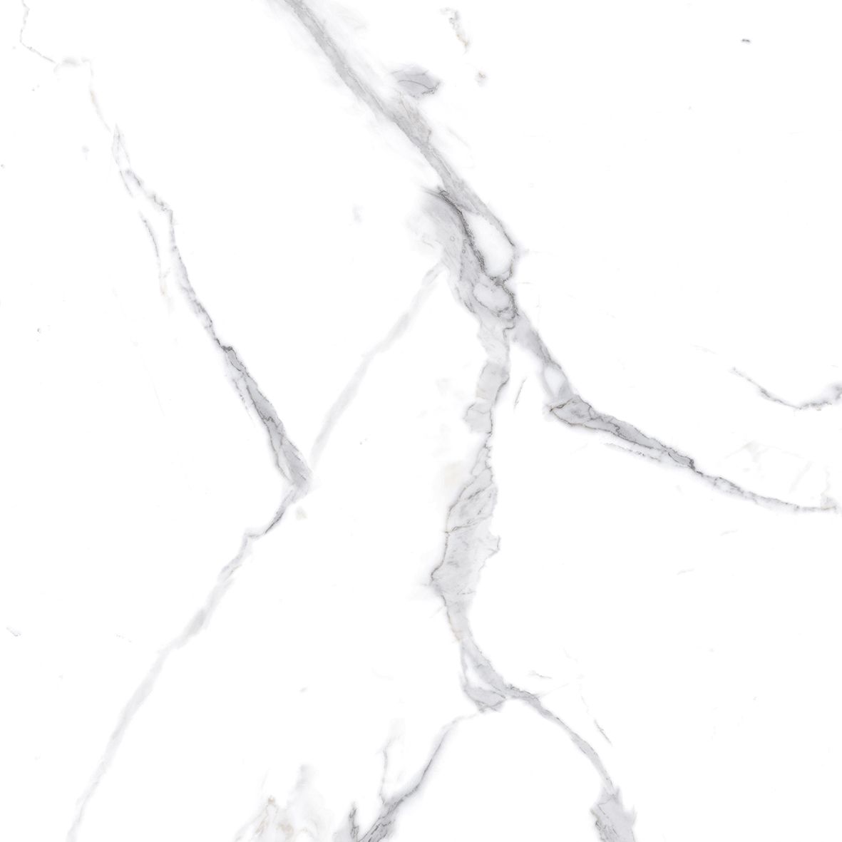 Calacatta Splendid Silver Керамогранит белый 80х80 Полированный