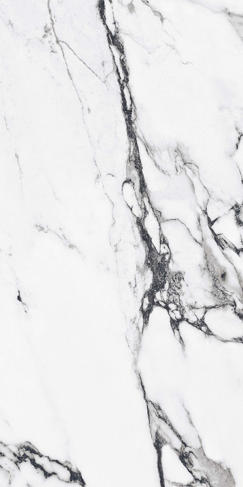 PrimaVera PR226 керамогранит Fantasy Black 60*120см Polished 1,44м2