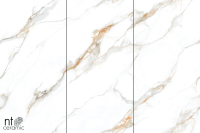 Керамогранит NTT3002P Calacatta Gold 120x240