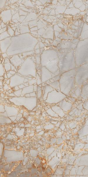 Керамогранит Primavera Golden Grey 60x120 см (PR212)