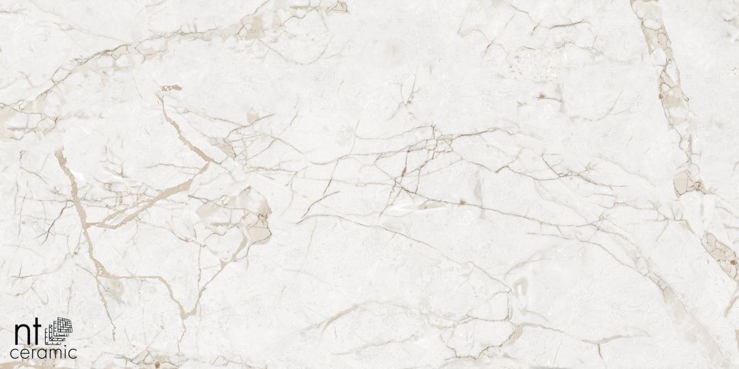 Керамогранит NTT99519M Impero Grey Carving 60x120