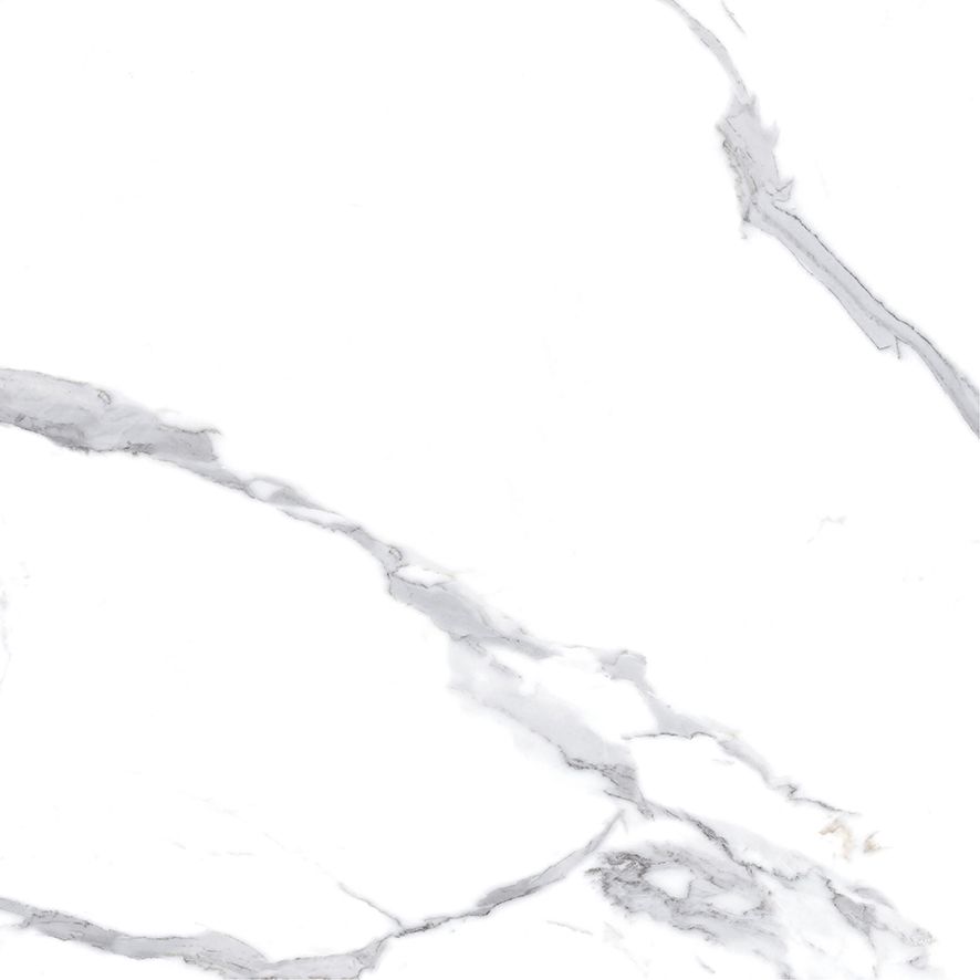 Calacatta Splendid Silver Керамогранит белый 60х60 Матовый
