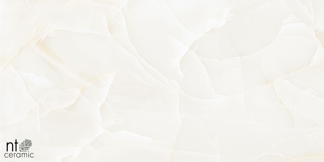 Керамогранит NTT99504P Onyx Predo 60x120