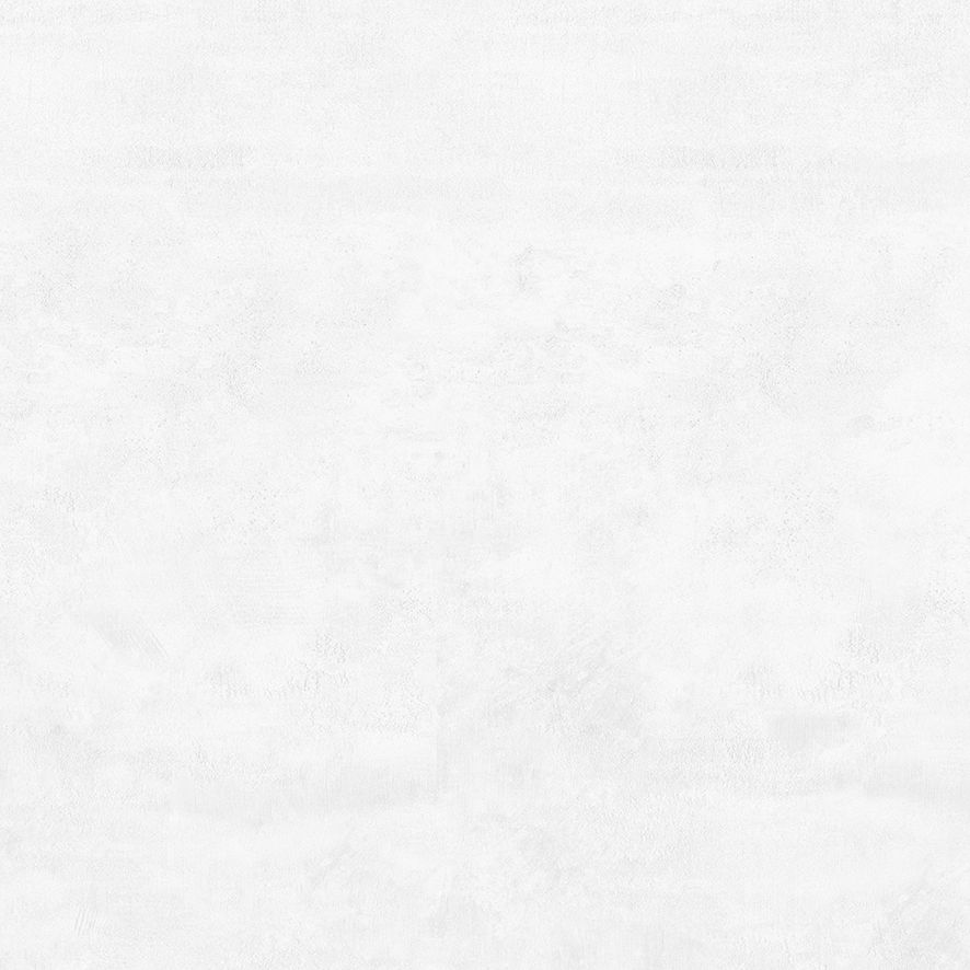 Flagman Керамогранит светло-серый K952736R0001LPET 60x60 (Laparet)