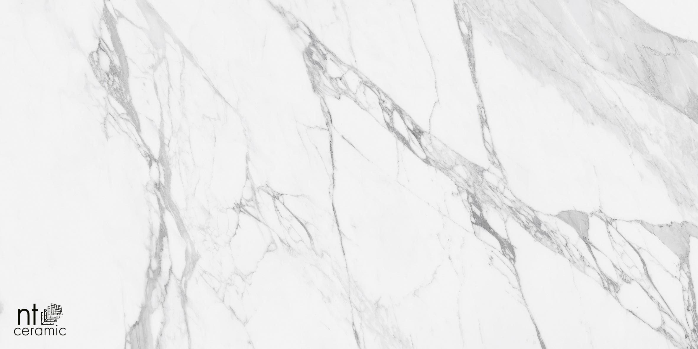 Керамогранит NTT99528P Artic statuario Glossy 60x120