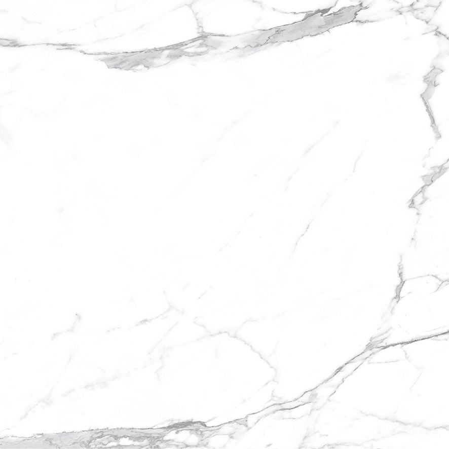 Carrara Terrific Silver Керамогранит белый 60х60 Матовый