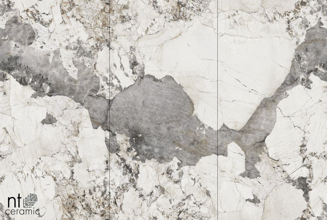 Керамогранит NTT3012P Calacatta Black 120x240