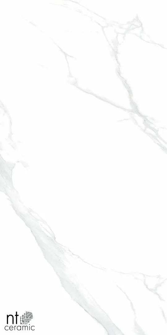 Керамогранит NTT9106P Statuario 60x120