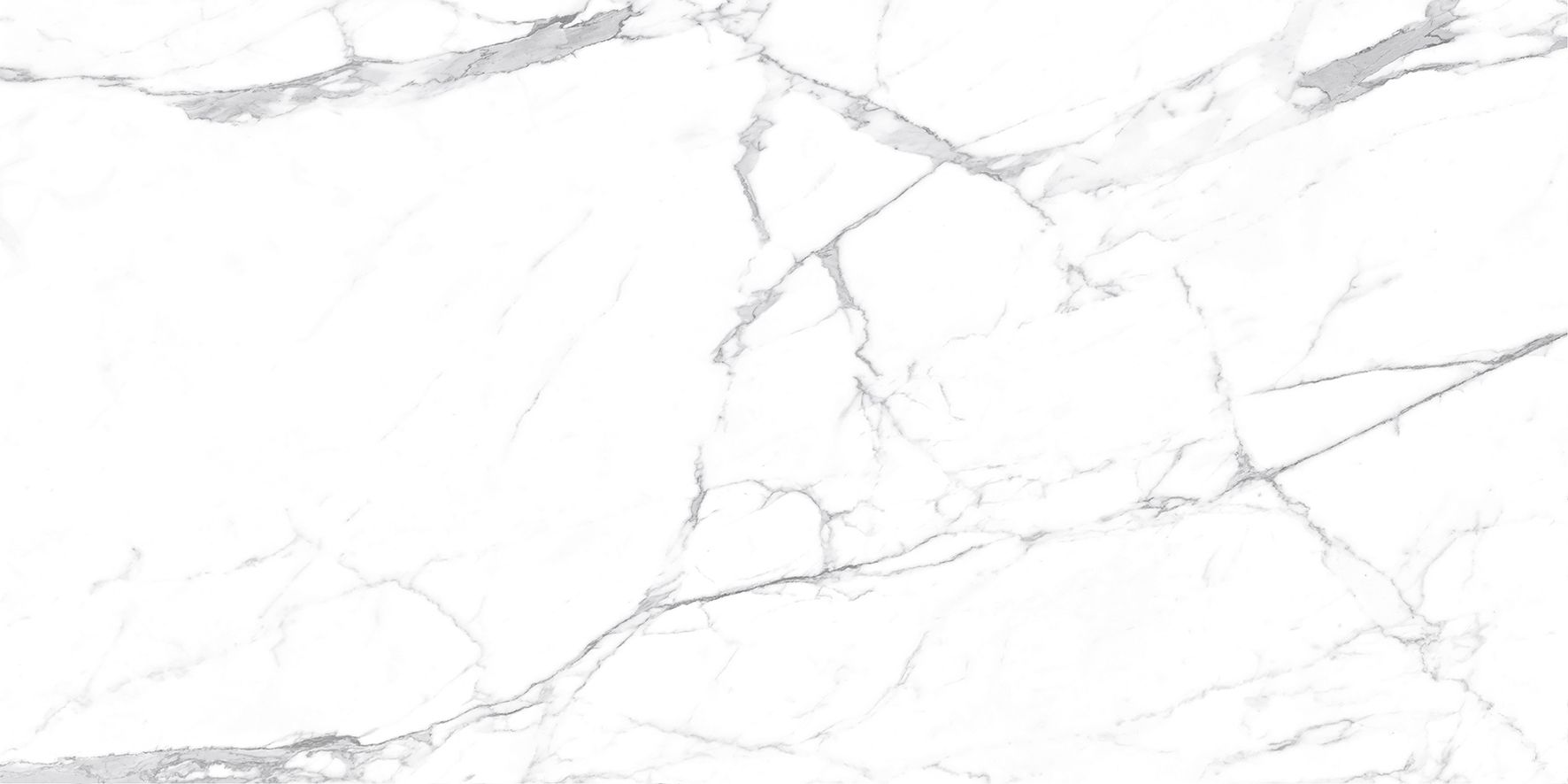 Carrara Terrific Silver Керамогранит белый 60х120 Матовый