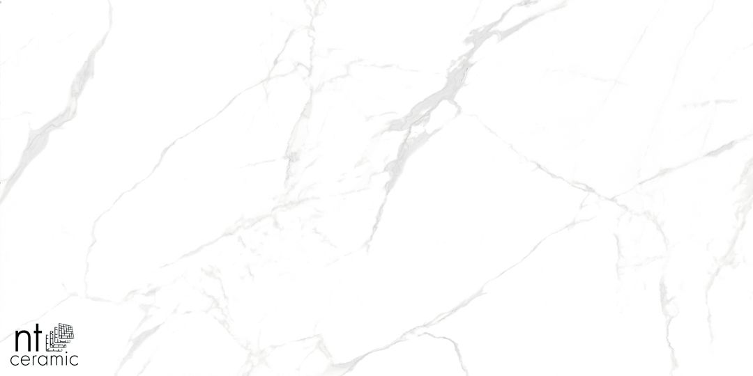 Керамогранит NTT996070M Callacata Carving 60x60