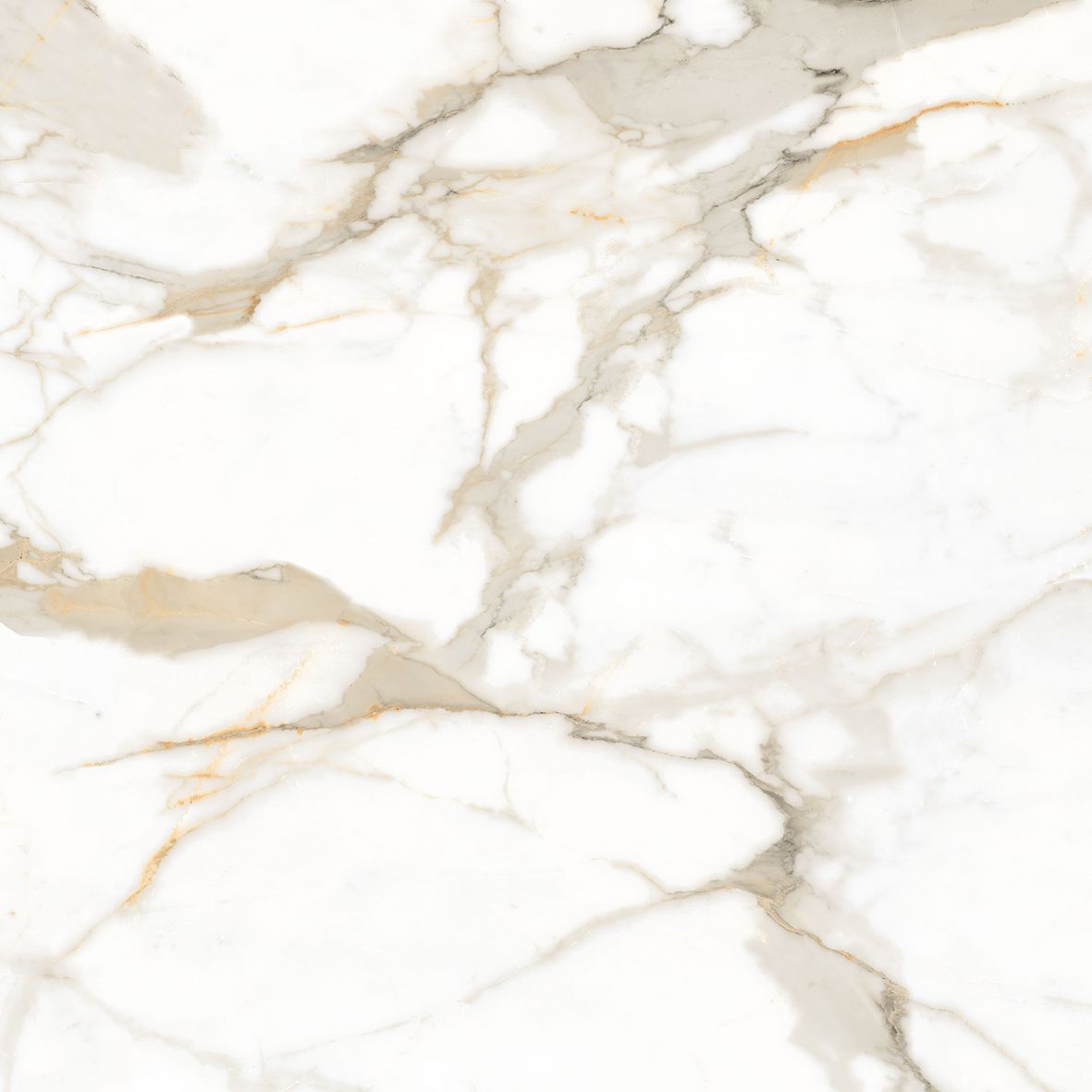 Calacatta Superior Керамогранит белый 80х80 Полированный