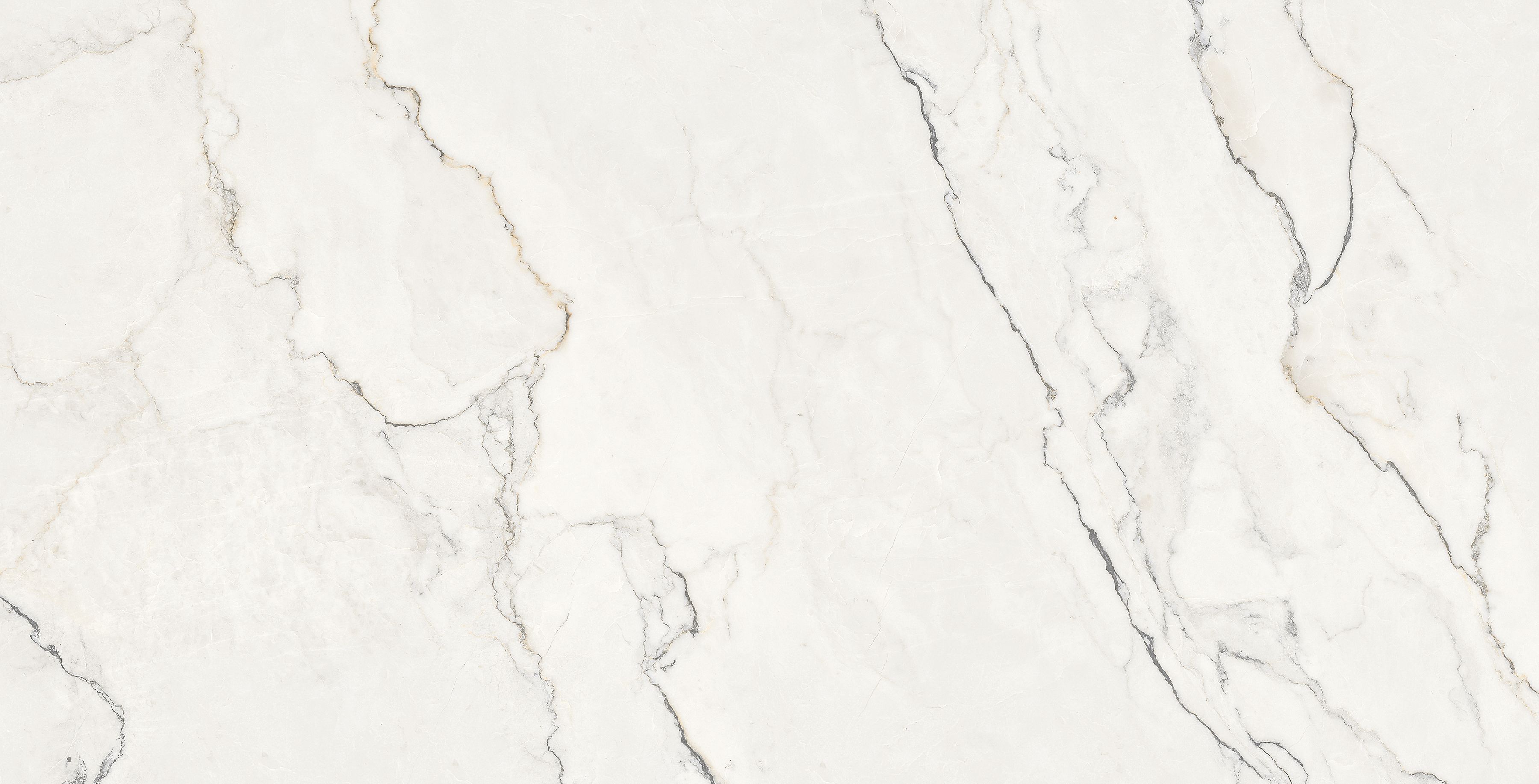 Керамогранит NTTHS99804D Infinity Wisdom Stone 4D 60x120