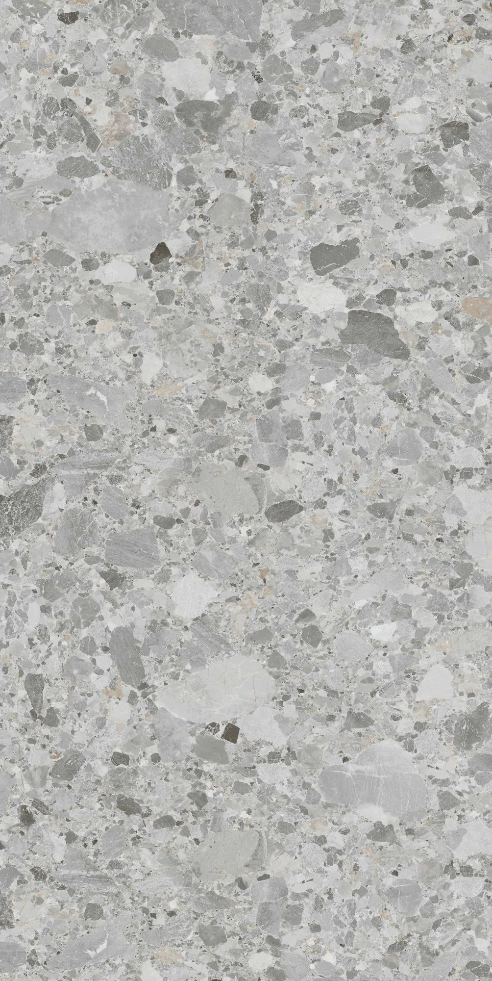 Керамогранит NTT3020M Yu Gong Yi Shan matt 120x240