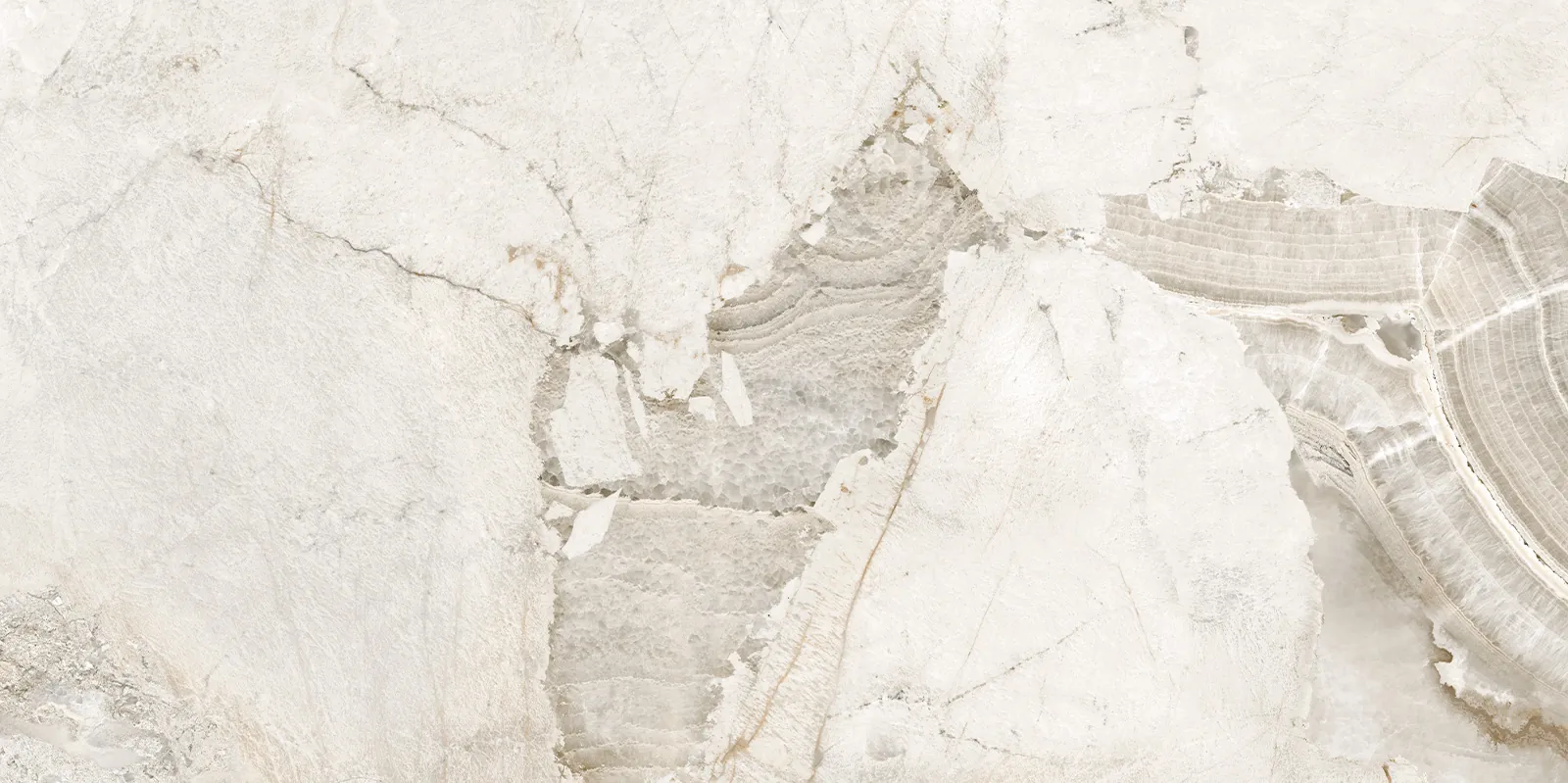 Керамогранит D120256LG Seashell лаппатированный граниль 600x1200x9.5 New Trend