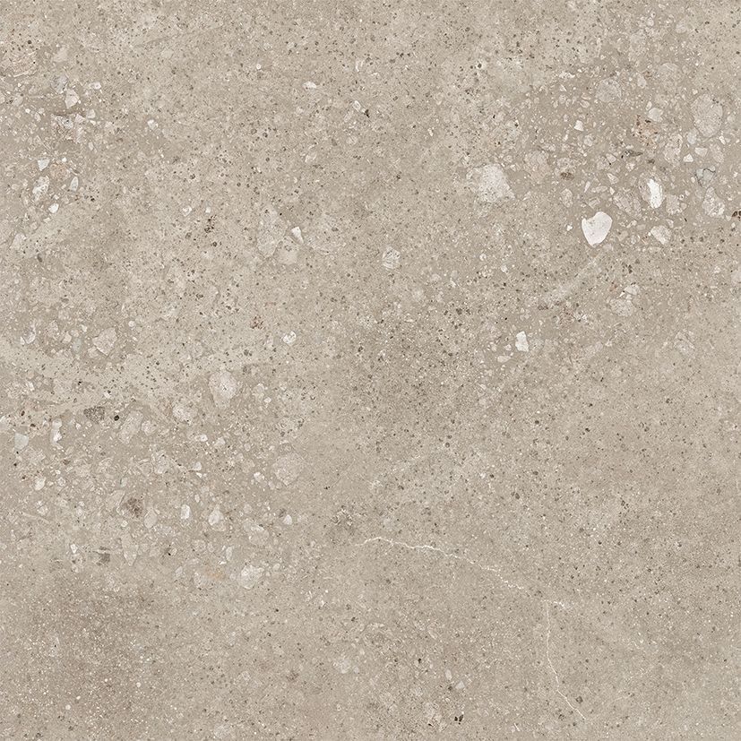 Harley Керамогранит бежевый 50х50 матовый