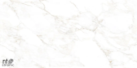 Керамогранит NTT99526M Marble Extra Endless 60x120