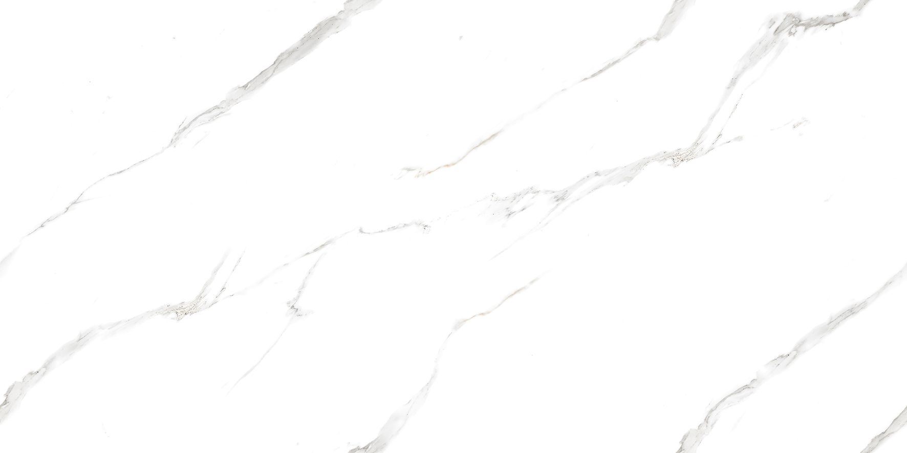 Calacatta Pleasant Керамогранит белый 60х120 Полированный