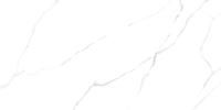 Керамогранит Atlantic Marble 60120AMR00P 60х120 LCM