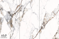 Керамогранит NTT3005P Breccia Capria 120x240