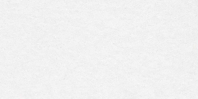 Керамогранит Absolute Ice D12038M 60х120 Delacora