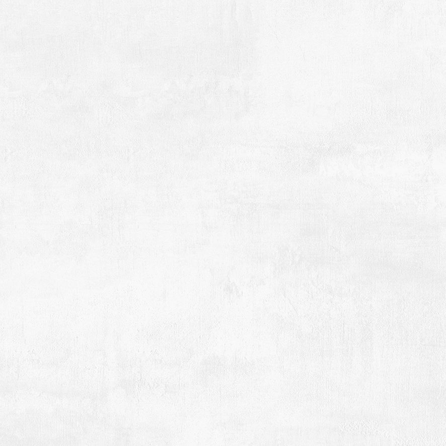 Flagman Керамогранит светло-серый K952736R0001LPET 60x60 (Laparet)