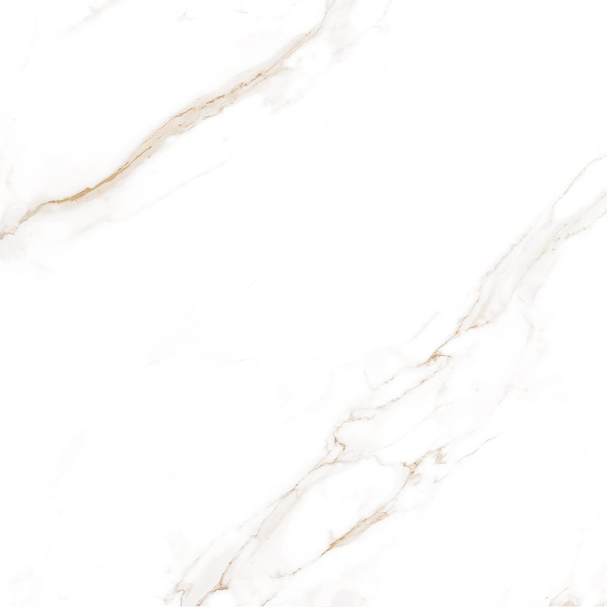 Calacatta Regal Gold Керамогранит белый 80х80 Матовый