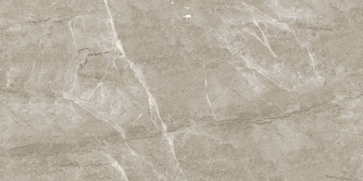 Breccia Silver Venato POL 120x60x0.55