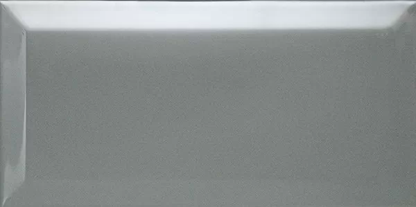Плитка Biselado Plata Brillo 10х20