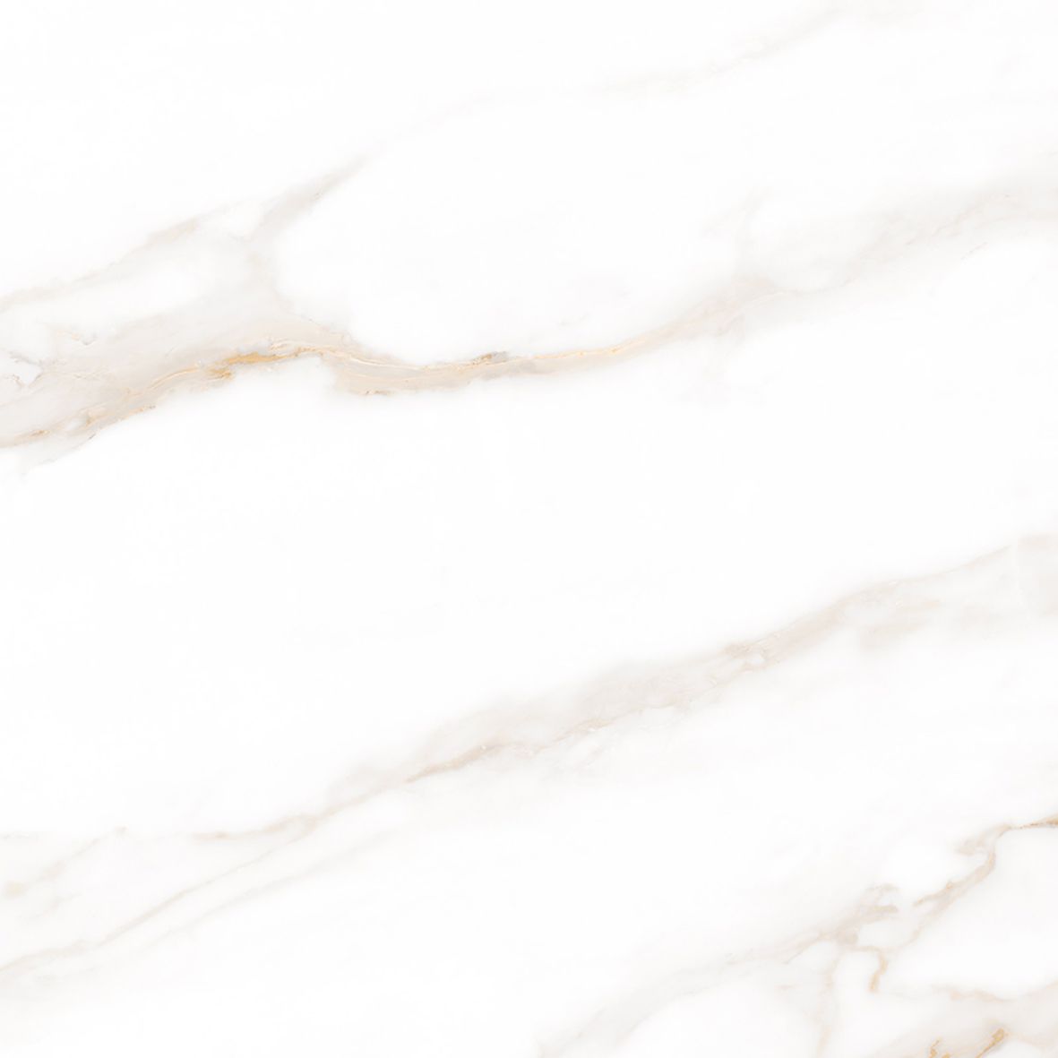 Calacatta Regal Gold Керамогранит белый 80х80 Матовый