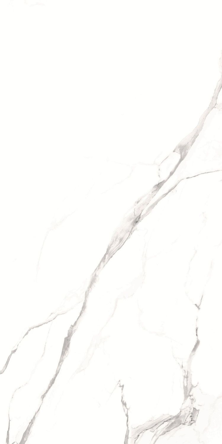 GT1206012003SPR Керамогранит Alfanzo_GT Бел. 60x120 полир._ 1\46,08 (Global Tile) под белый мрамор