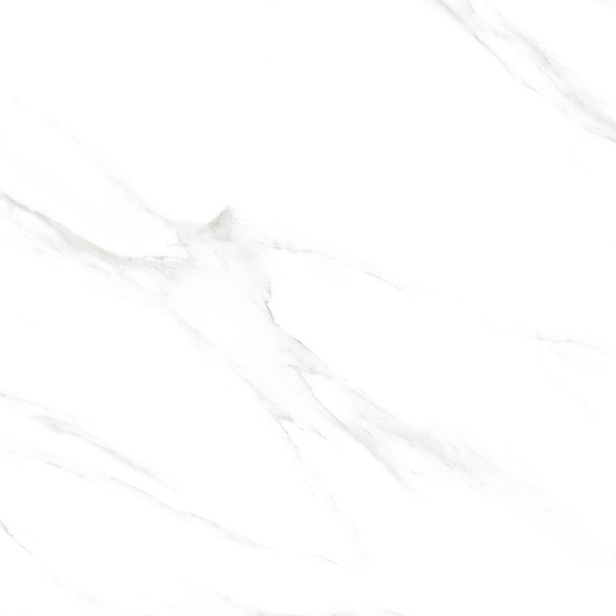 Calacatta Genius Керамогранит белый 60х60 Полированный