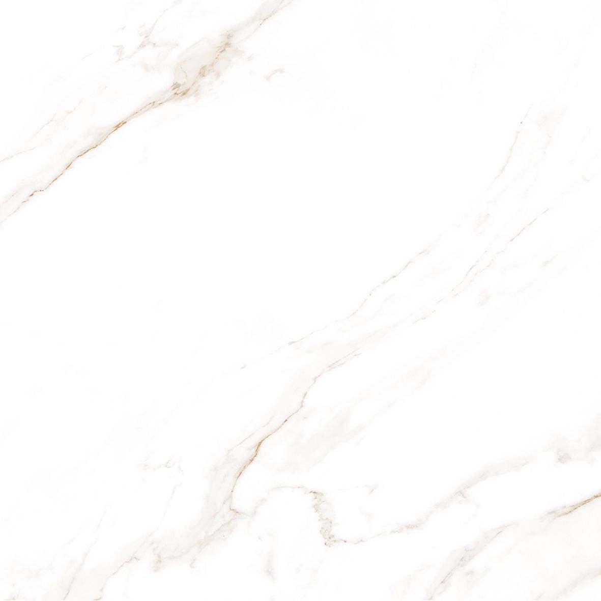 Calacatta Regal Gold Керамогранит белый 80х80 Матовый