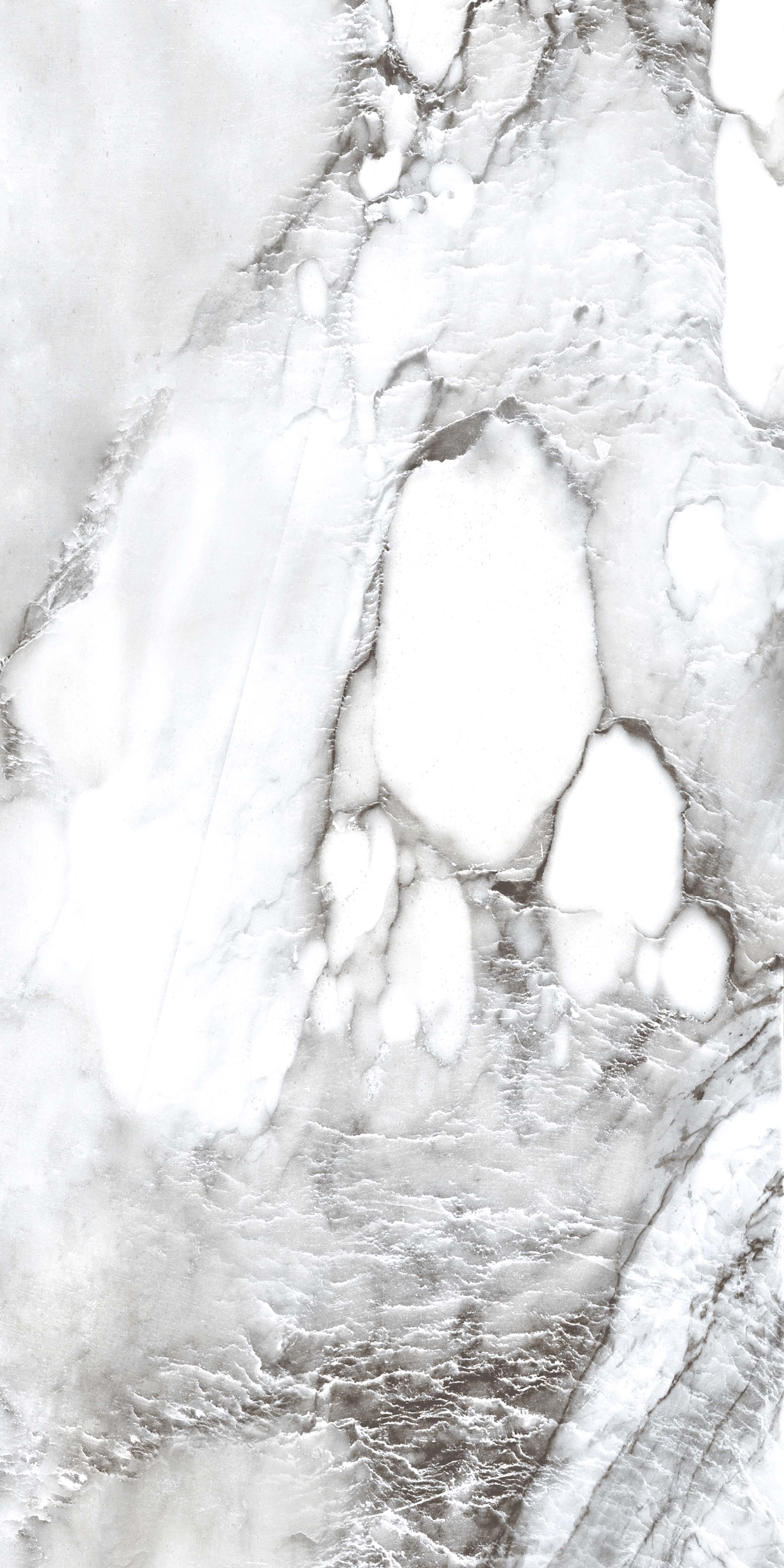 PR221 Керамогранит Acacia 60*120см polished 1,44м2