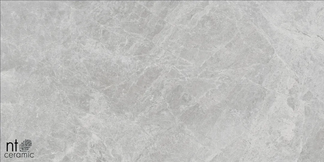Керамогранит NTT9118M Tundra Pearl Mat 60x120