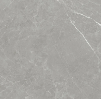 Керамогранит NT Ceramic Pietra PT6NTT1102L 60x60 лаппатированный, под серый камень