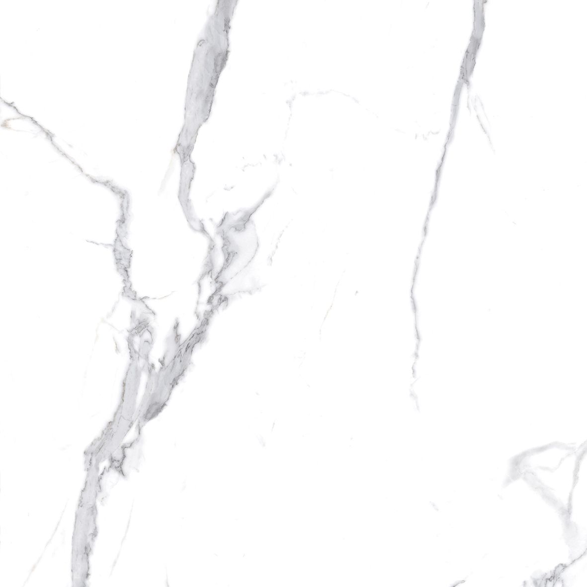 Calacatta Splendid Silver Керамогранит белый 80х80 Полированный