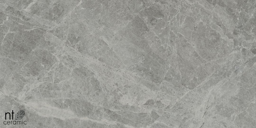 Керамогранит NTT9119M Tundra Grey Mat 60x120