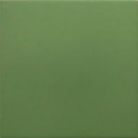 Гранит керамический 30716 RIVOLI Green 20x20 см (Equipe)