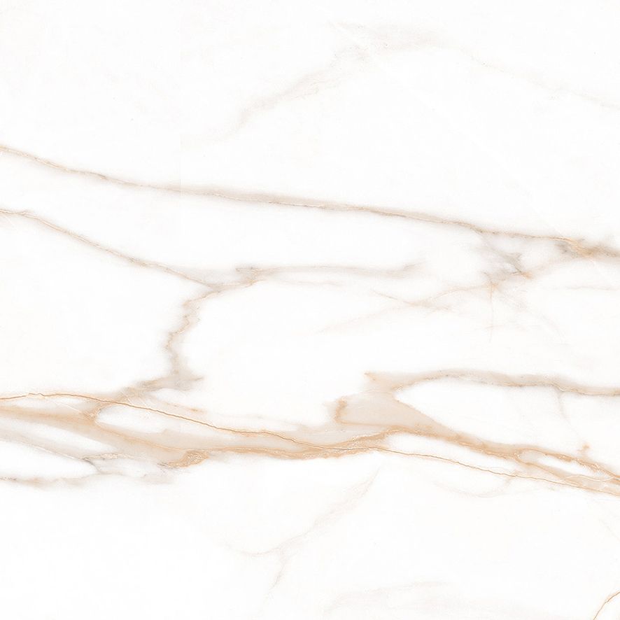 Calacatta Goddes Gold Керамогранит белый 60х60 Полированный