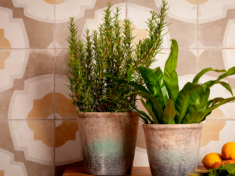 Плитка керамическая напольная FS FARFALLA MUSTARD 45х45x0,95 см