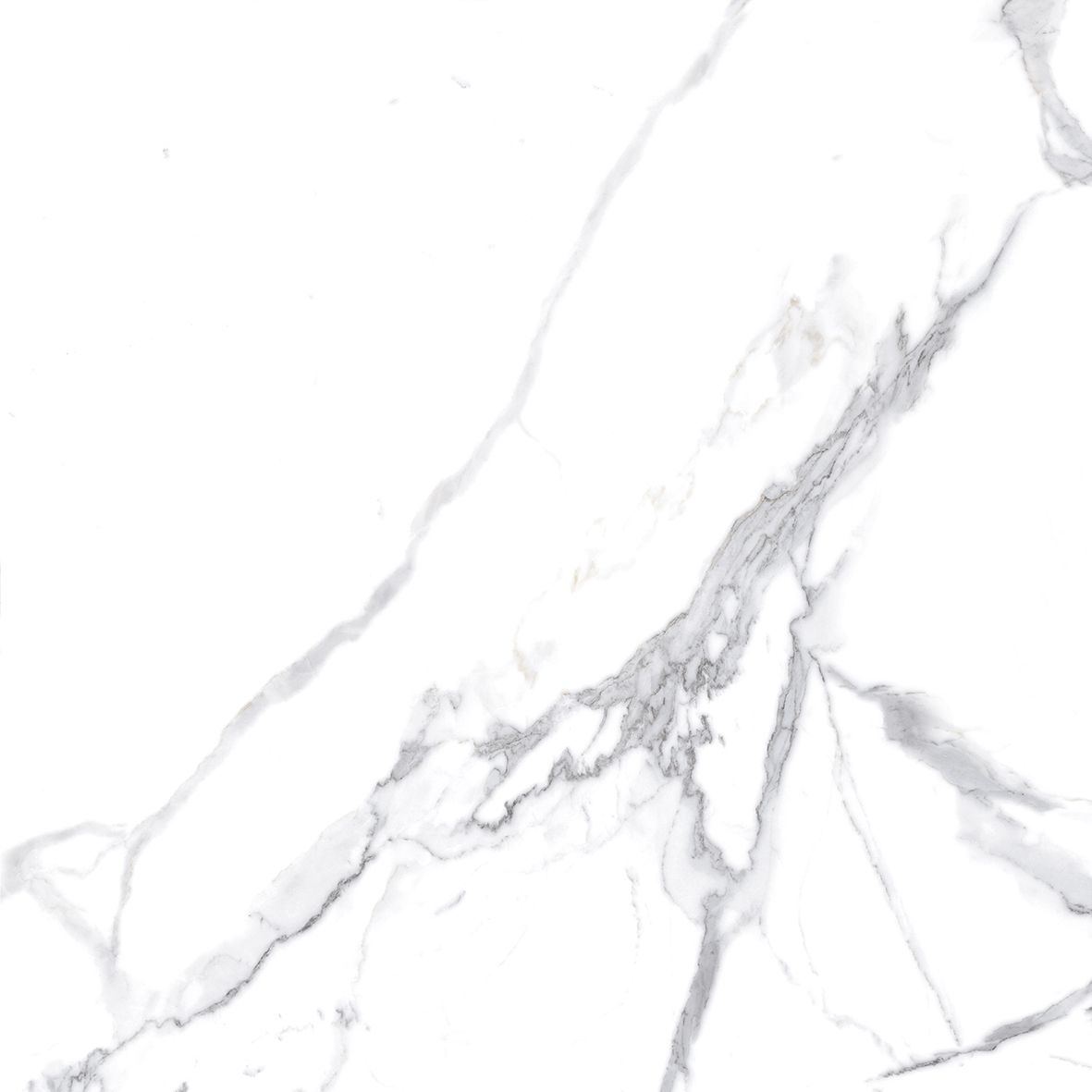 Calacatta Splendid Silver Керамогранит белый 80х80 Полированный