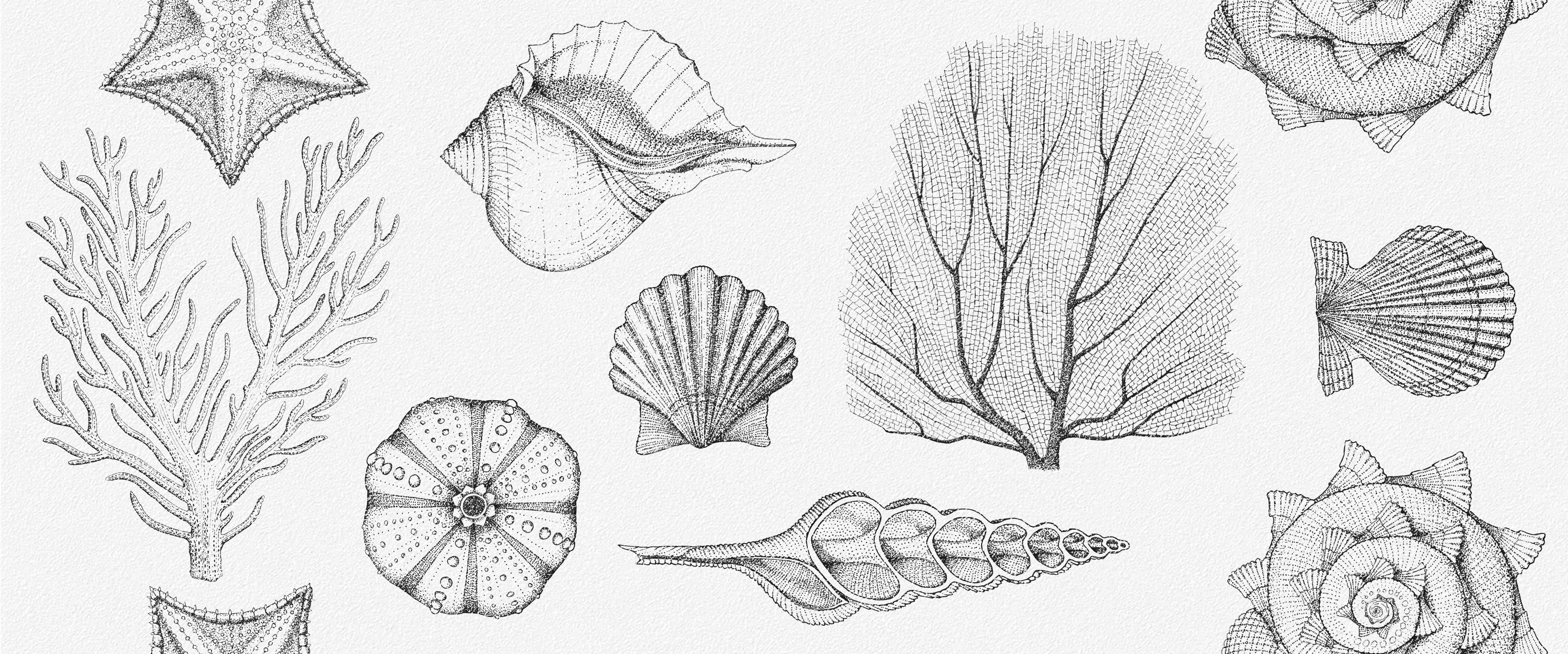 Плитка Aqua white wall 01 250х600  Gracia Ceramica