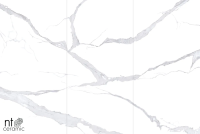 Керамогранит NTT3008P Bianco Statuario 120x240