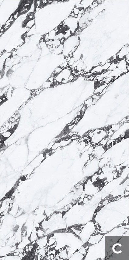 Керамогранит NTT3013P (C) Tantai Jin Demon 120x240